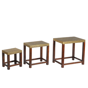 Elegant Brass Foil Cladded Solid Wood Nesting Tables- Set of 3