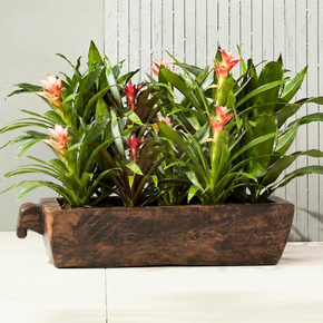 Vintage Solid Wood Rustic Farmhouse Extra Long Trough