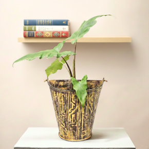 Farmhouse Style Distressed Half Metal Bucket Repurposed Unique Wall Planter