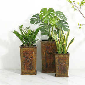 Solid Wood Hand Painted Elegant Planters In Antique Gold Finish - Set Of 3