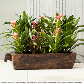Vintage Solid Wood Rustic Farmhouse Extra Long Trough
